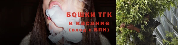 дживик Арсеньев