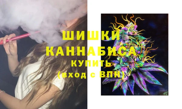 дживик Арсеньев